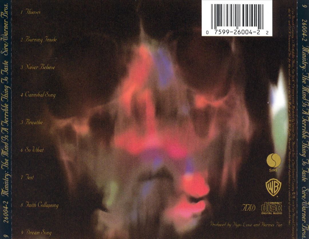 Mind Is a Terrible Thing to Taste cover art