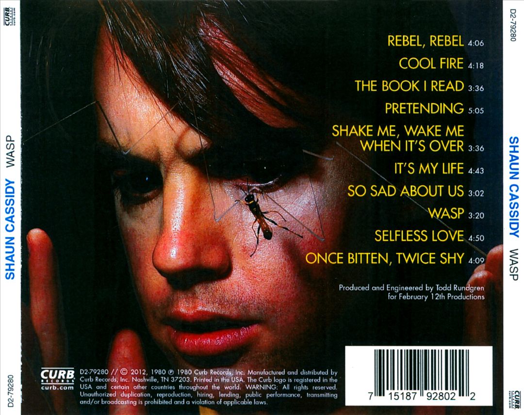 Wasp cover art