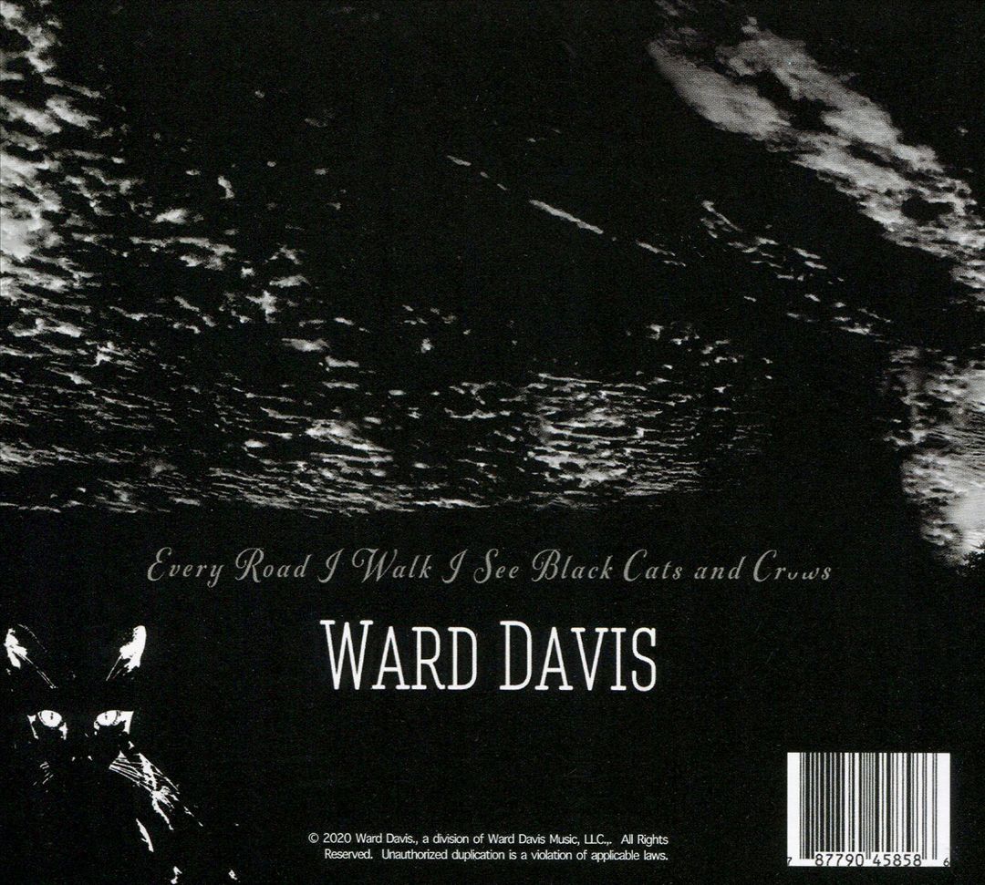 Black Cats and Crows cover art
