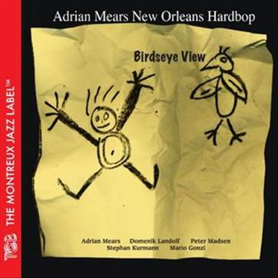 Birdseye View cover art