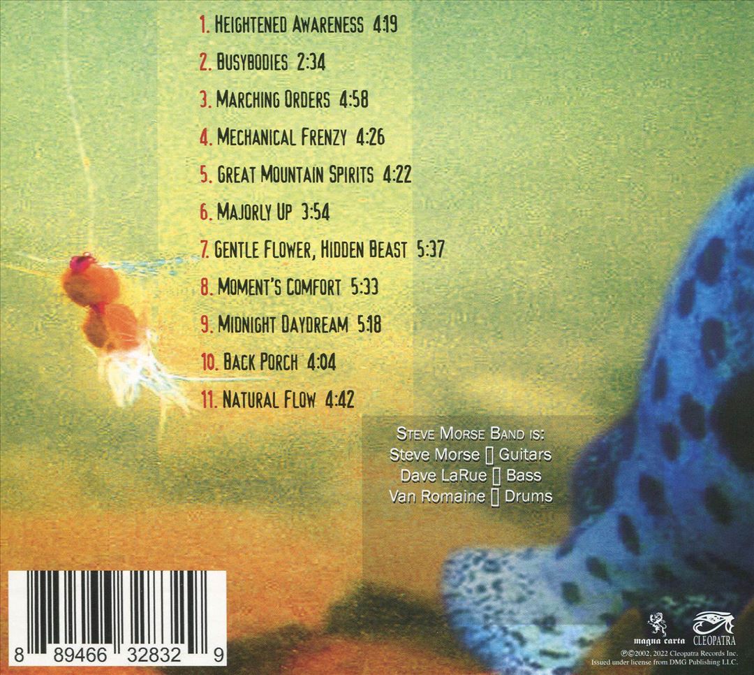 Split Decision cover art