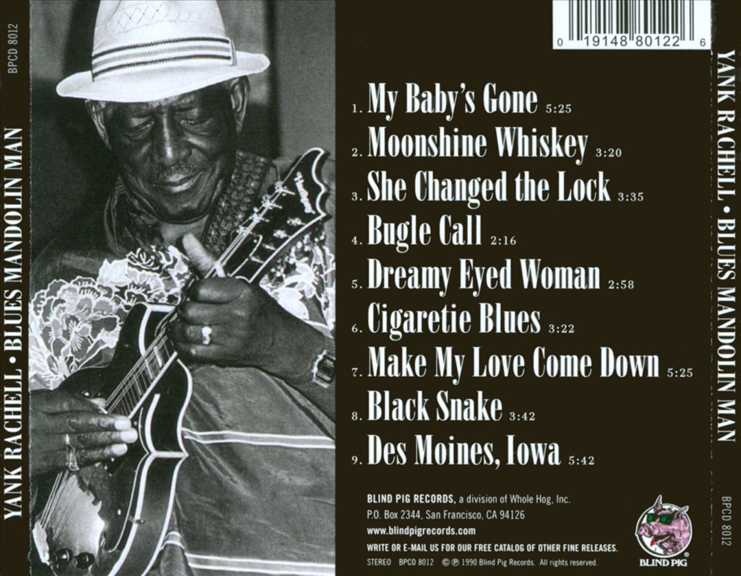 Blues Mandolin Man cover art
