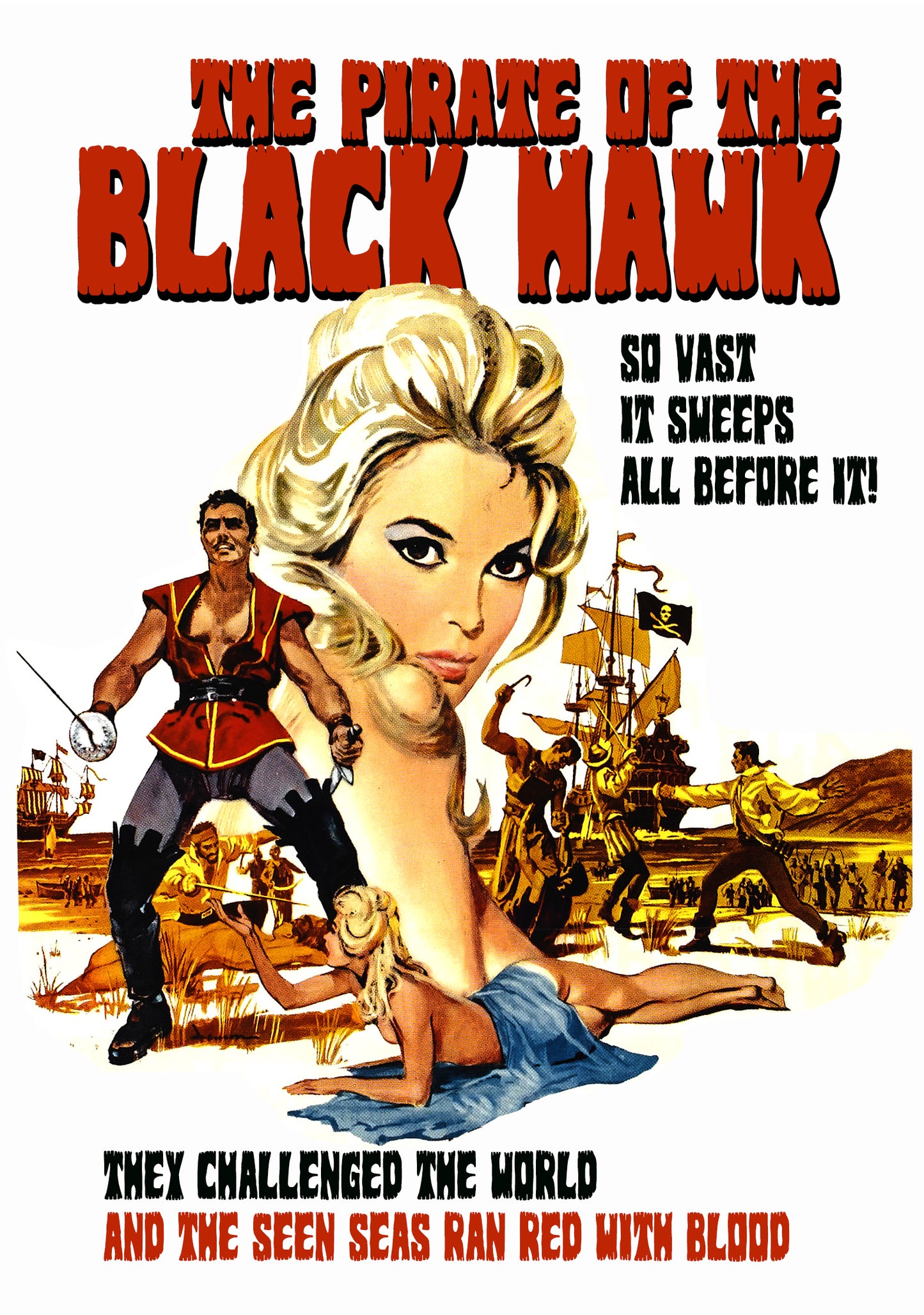 Pirate of the Black Hawk cover art