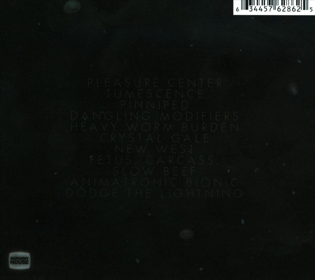 Sleepwalking Sailors cover art
