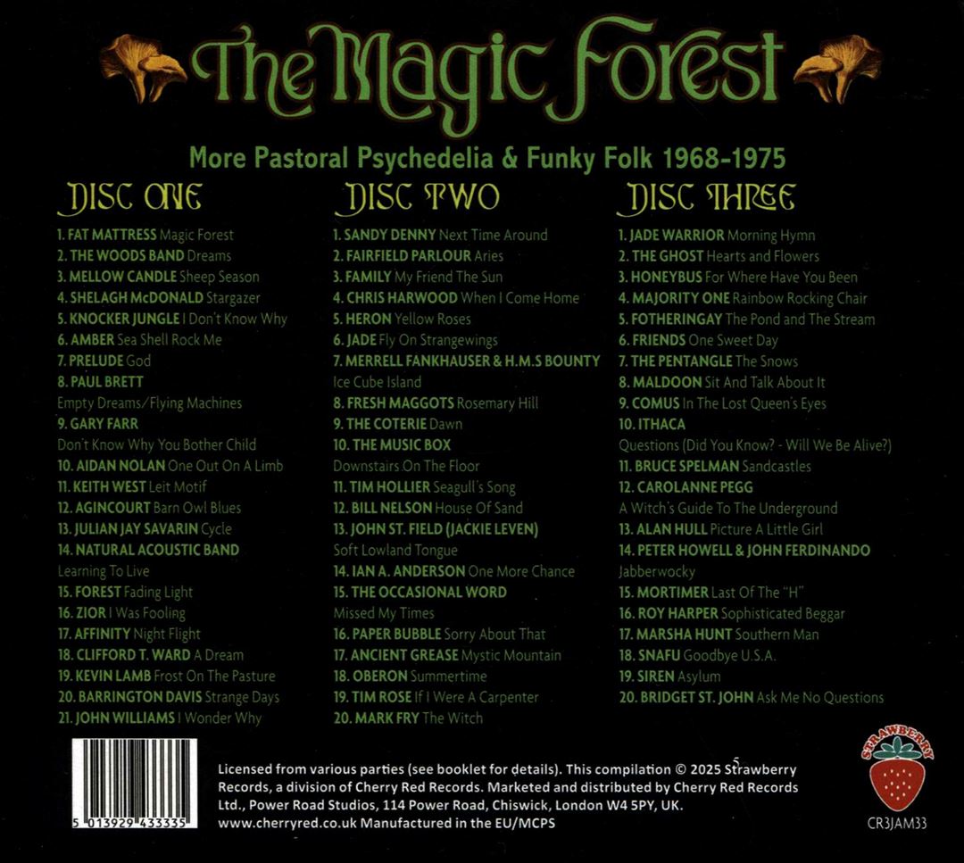 Magic Forest: More Pastoral Psychedlia & Funky Folk 1968-1975 cover art