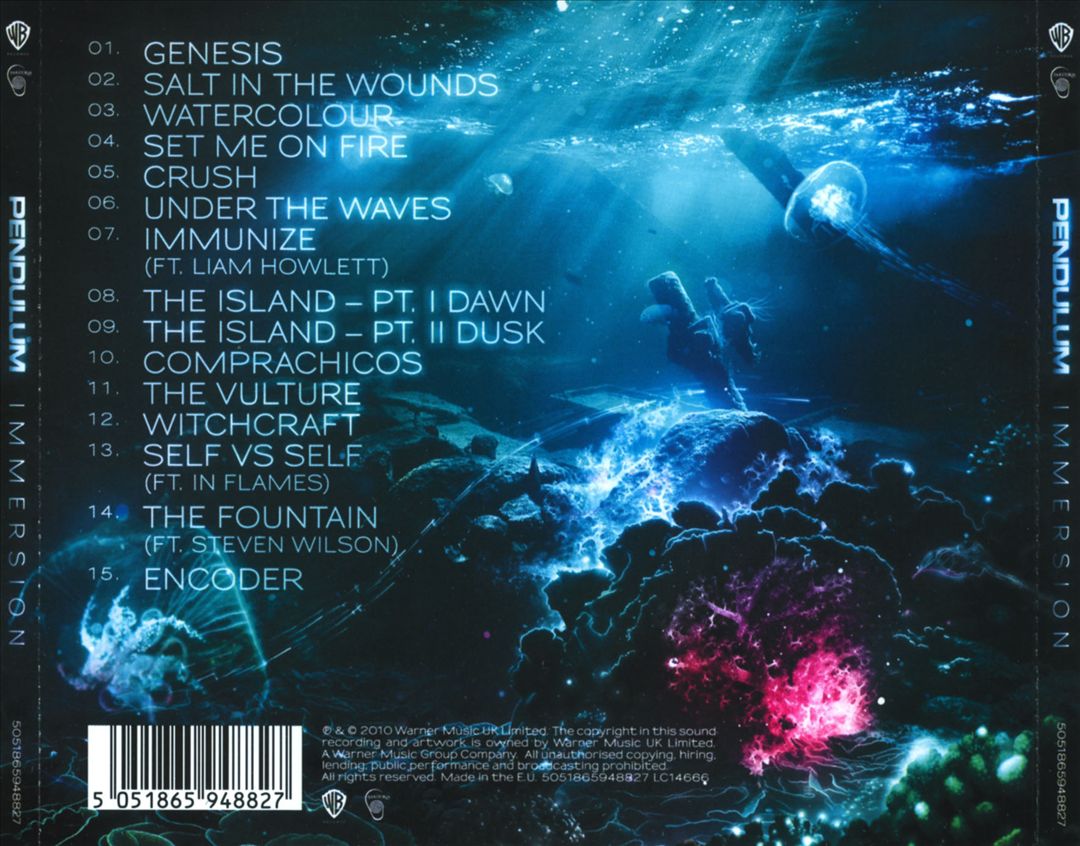 Immersion cover art