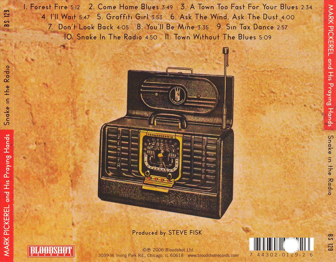 Snake in the Radio cover art