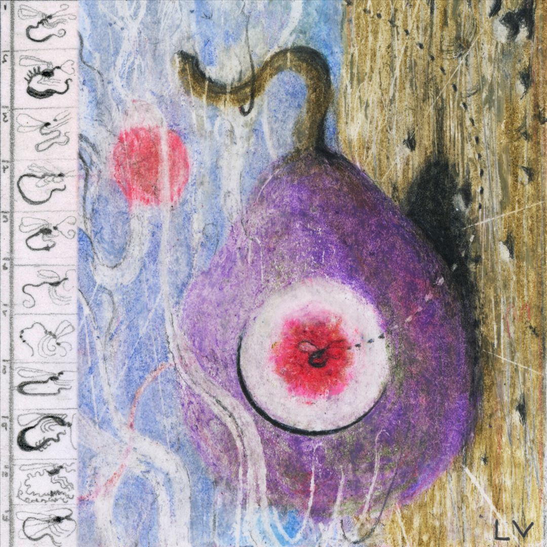 Inside Every Fig Is a Dead Wasp cover art