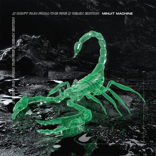 Don't Run From the Fire cover art