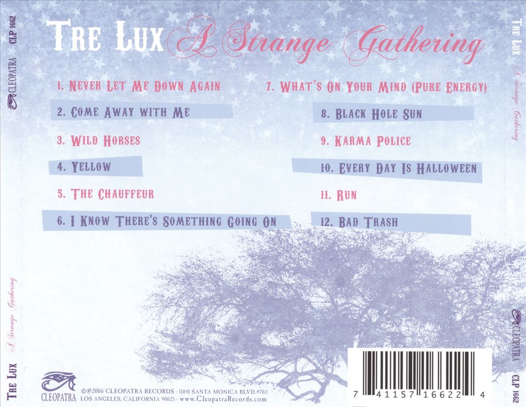 Strange Gathering cover art