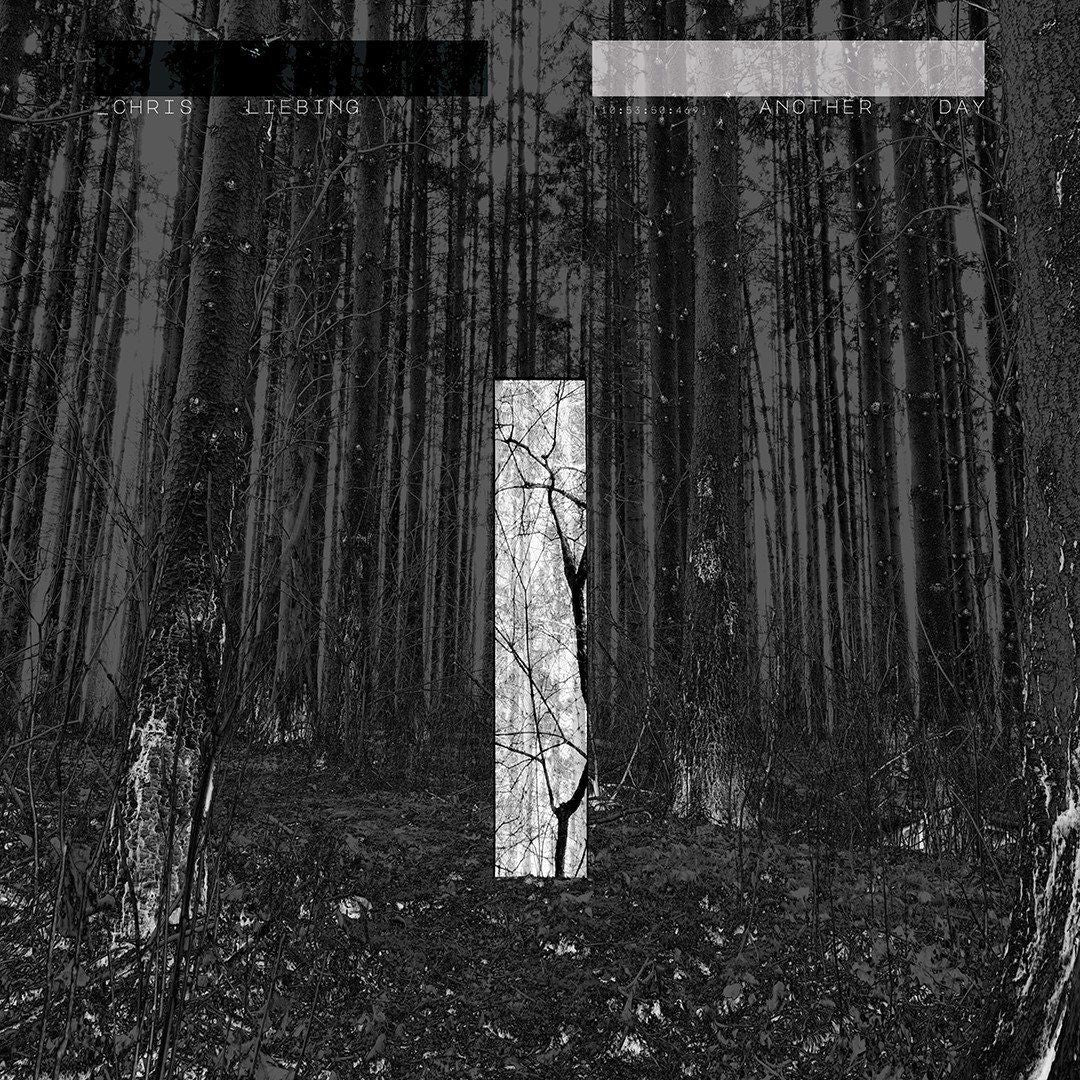 Another Day cover art