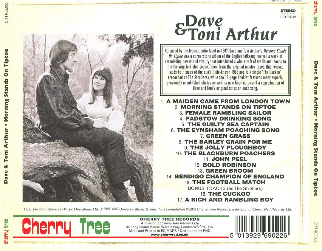 Morning Stands on Tiptoe cover art