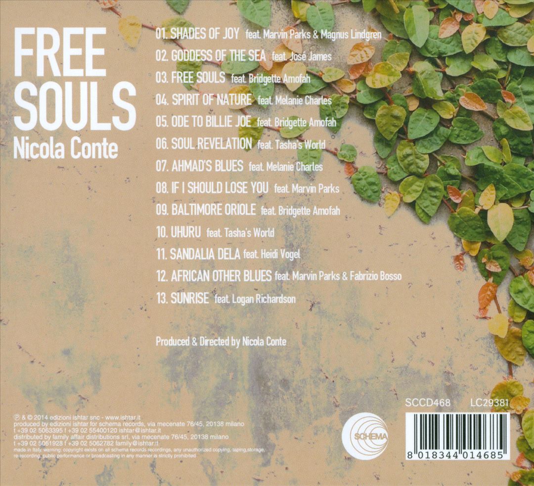 Free Souls cover art