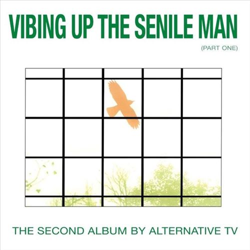 Vibing Up The Senile Man cover art