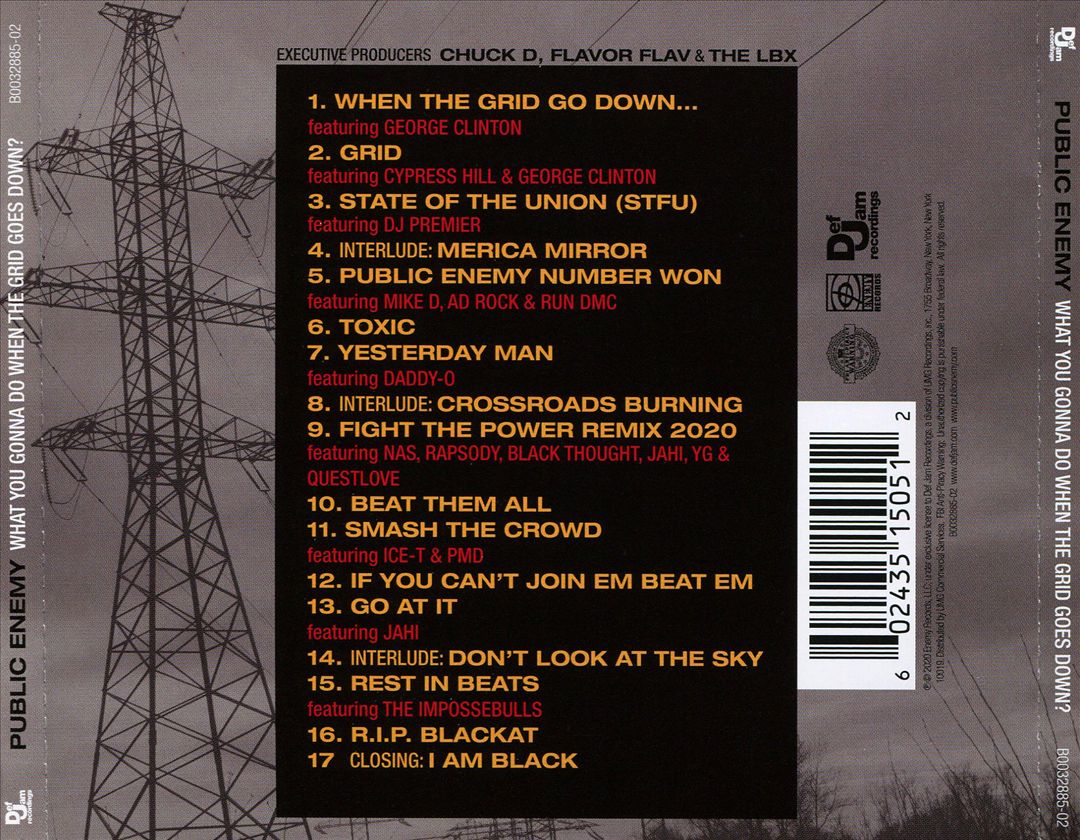 What You Gonna Do When the Grid Goes Down? cover art