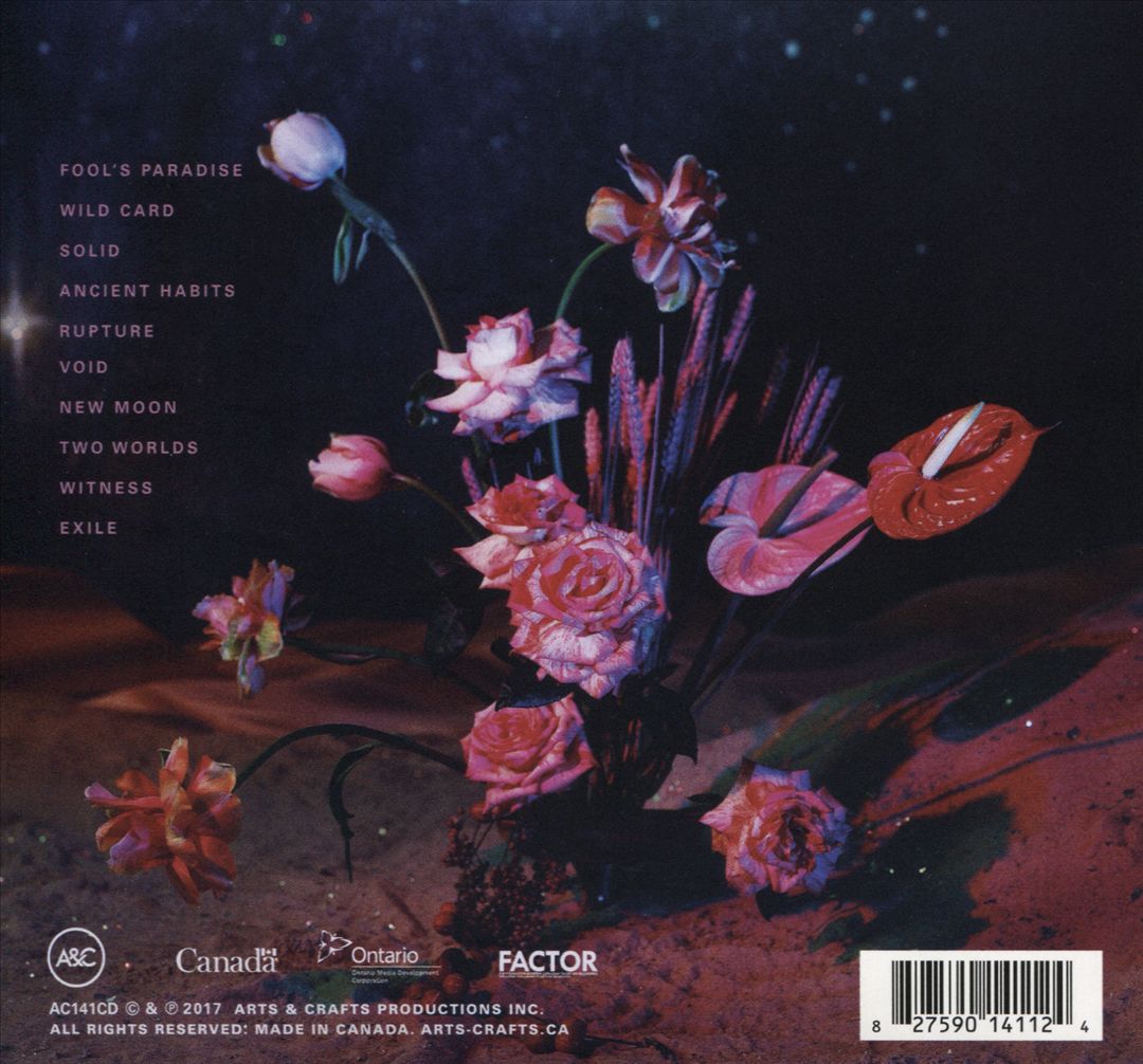 Fool's Paradise cover art