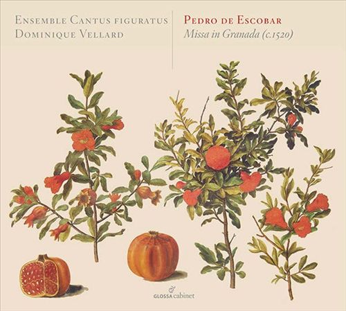 Pedro de Escobar: Missa in Granada (c. 1520) cover art