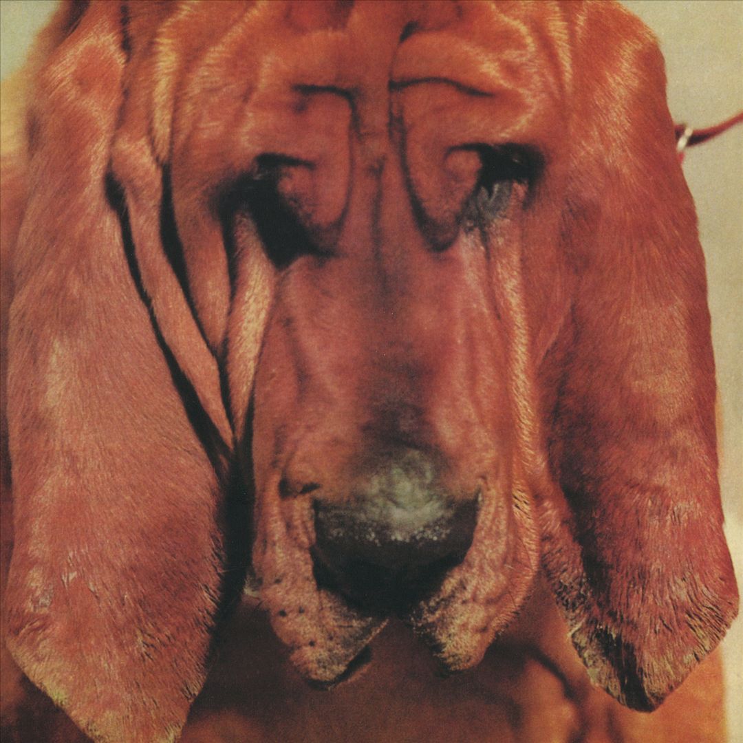 Goodbye Bread cover art