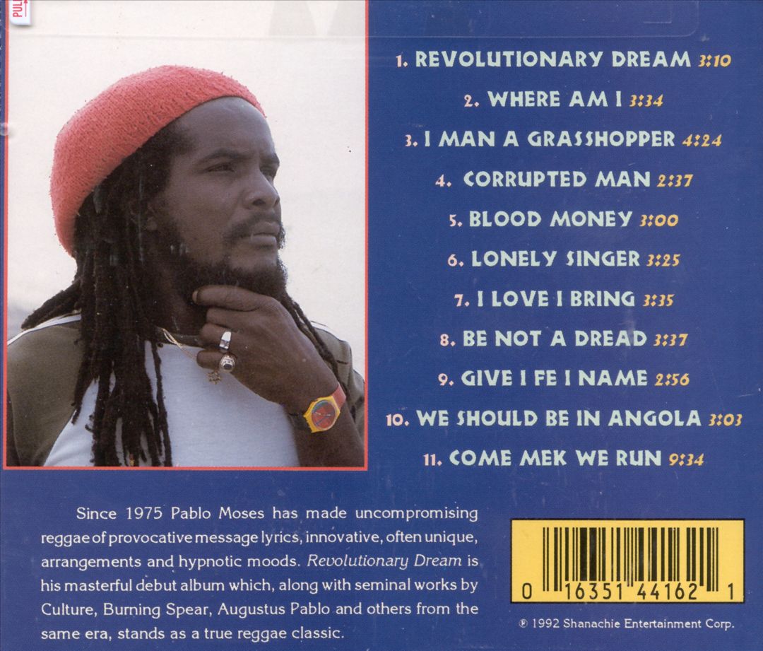 Revolutionary Dream cover art