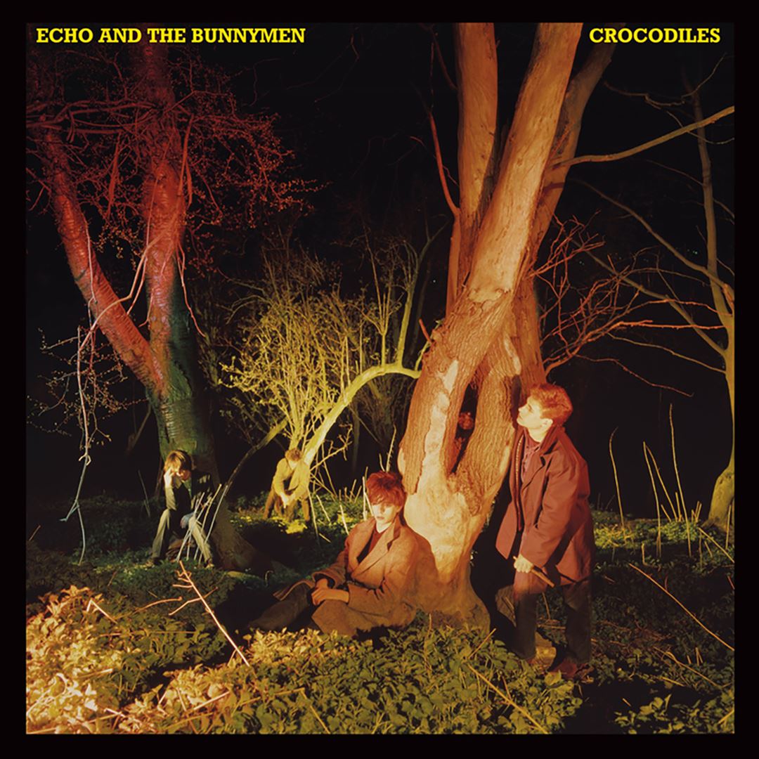 Crocodiles cover art