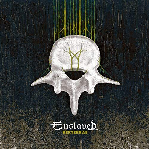 Vertebrae cover art