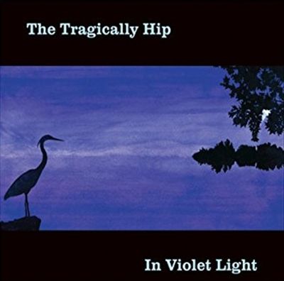 In Violet Light cover art