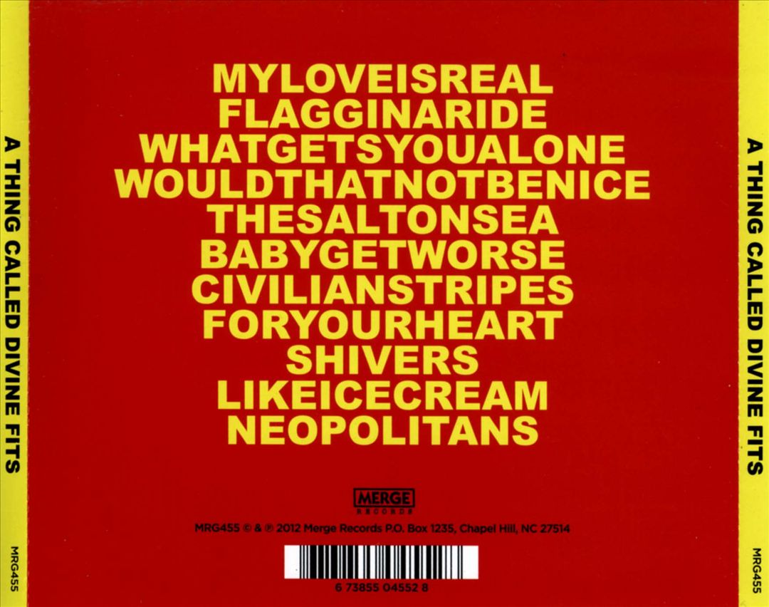 Thing Called Divine Fits cover art