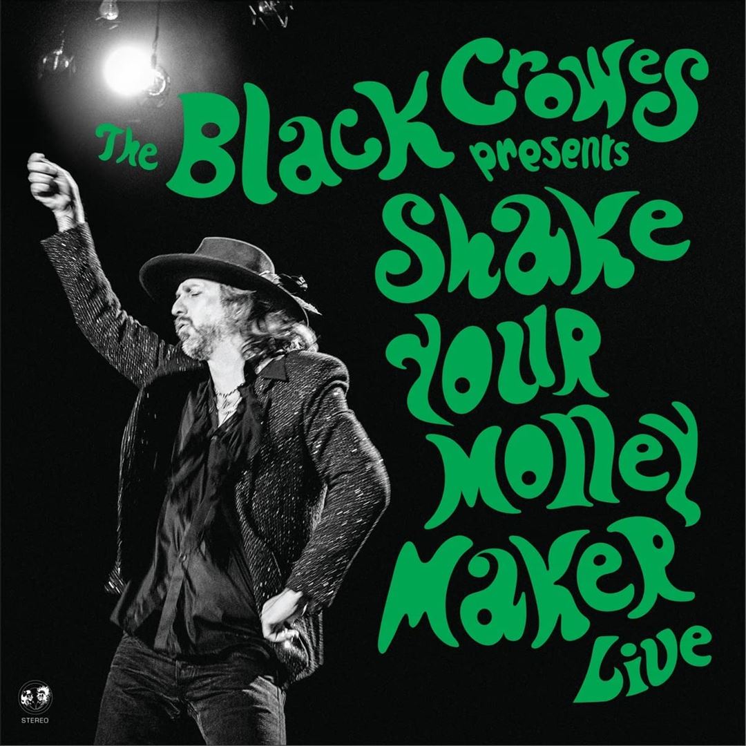 Shake Your Money Maker cover art