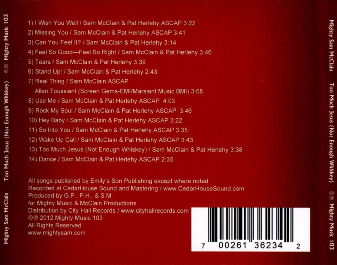Too Much Jesus (Not Enough Whiskey) cover art