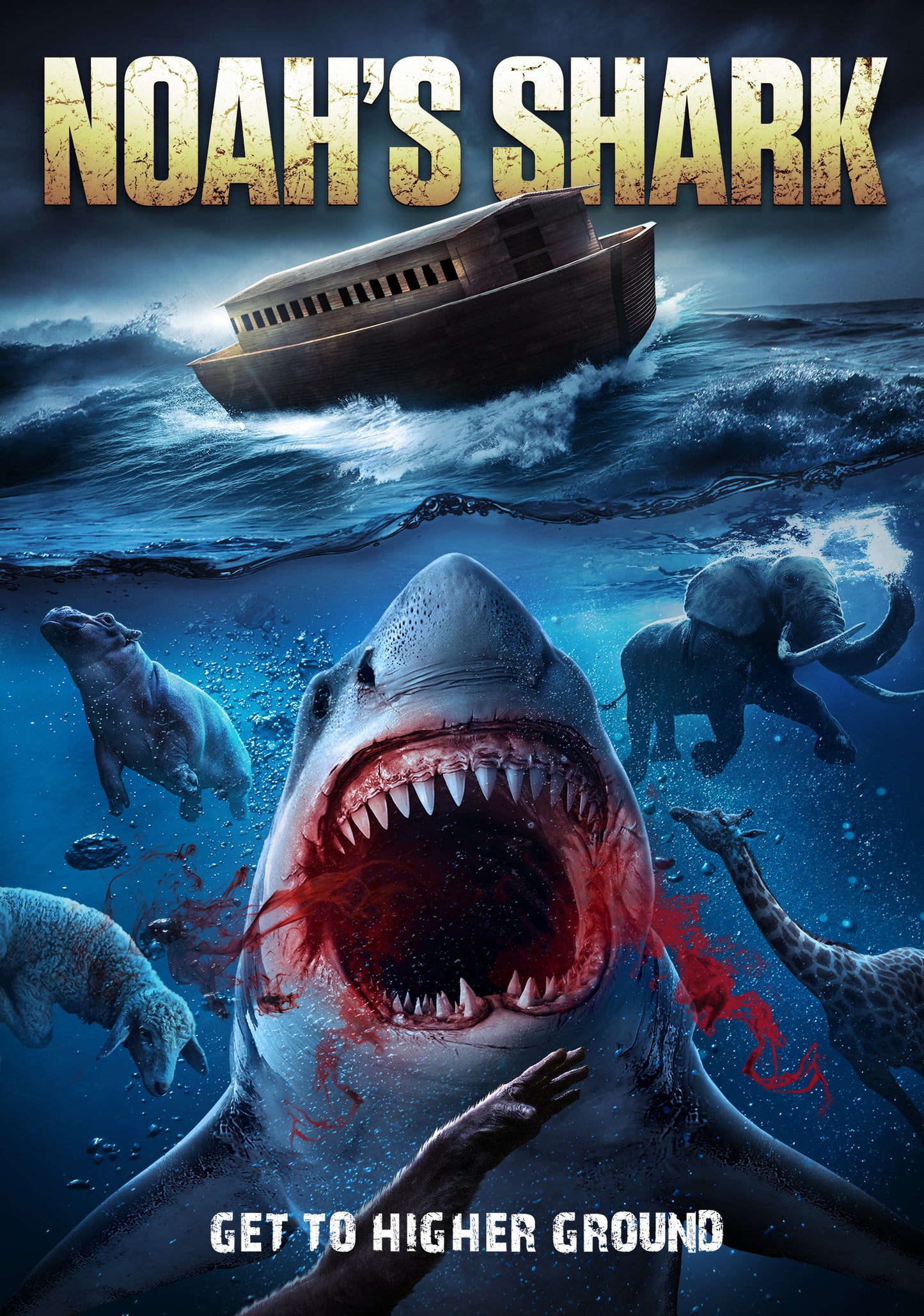 Noah's Shark cover art