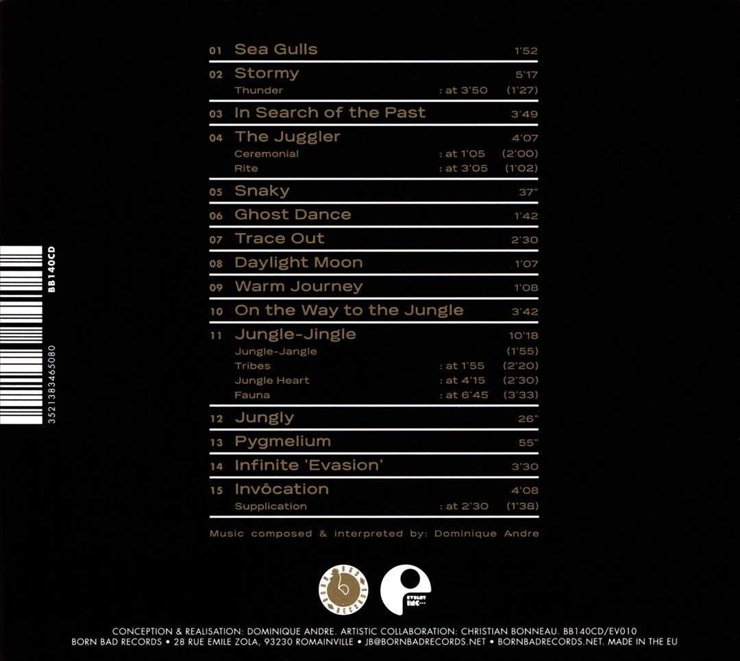 Evasion cover art