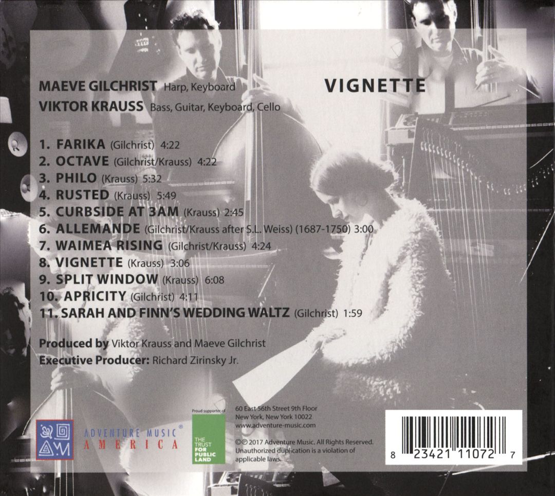 Vignette cover art
