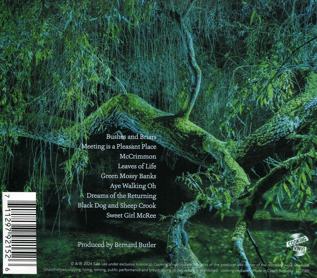 Songdreaming cover art