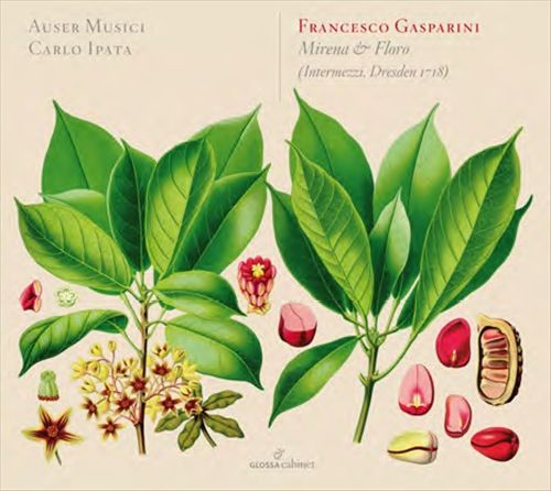 Francesco Gasparini: Mirena e Floro cover art