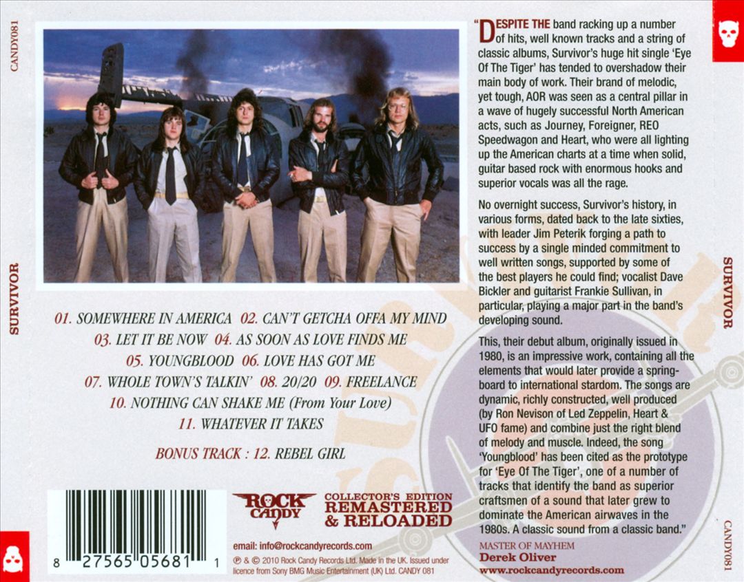 Survivor cover art