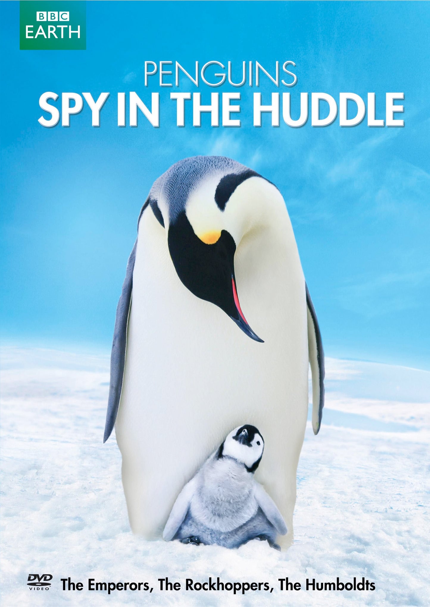 Penguins: Spy in the Huddle cover art