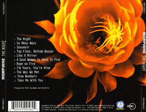 Night cover art