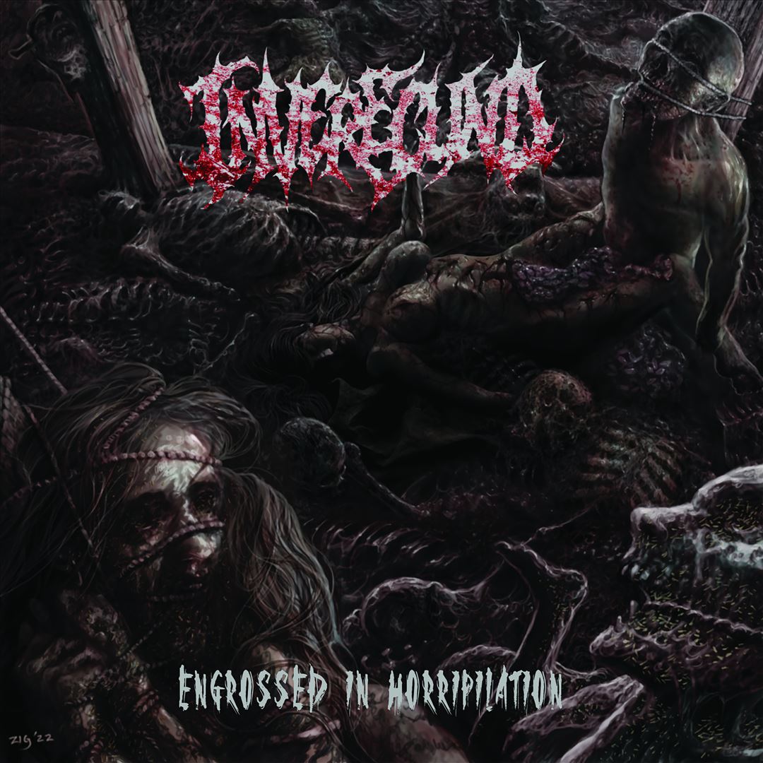 Engrossed in Horripilation cover art