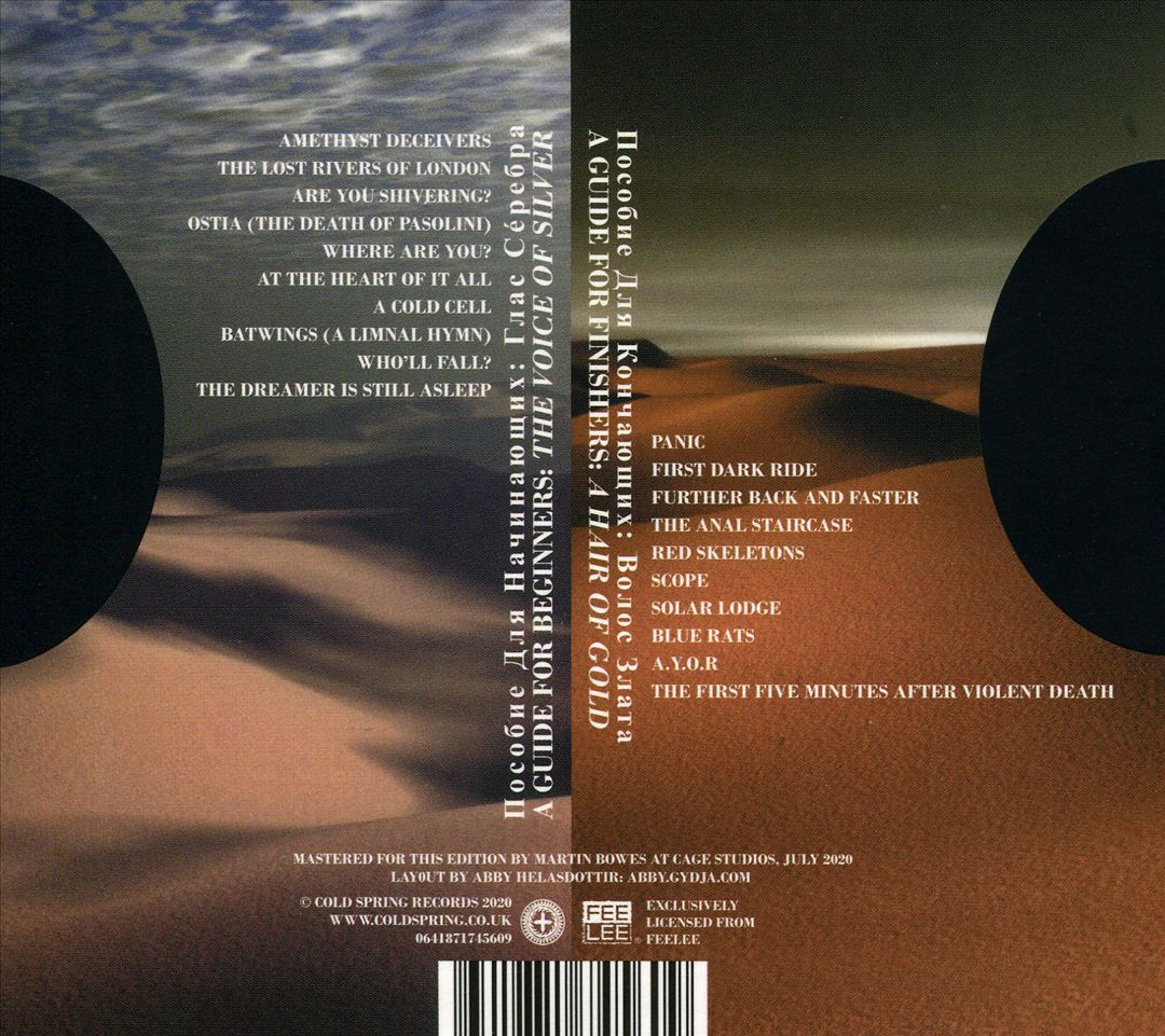 Guide for Beginners: The Voice of Silver/A Guide for Finishers: A Hair of Gold cover art