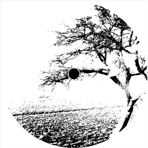 Open Door cover art