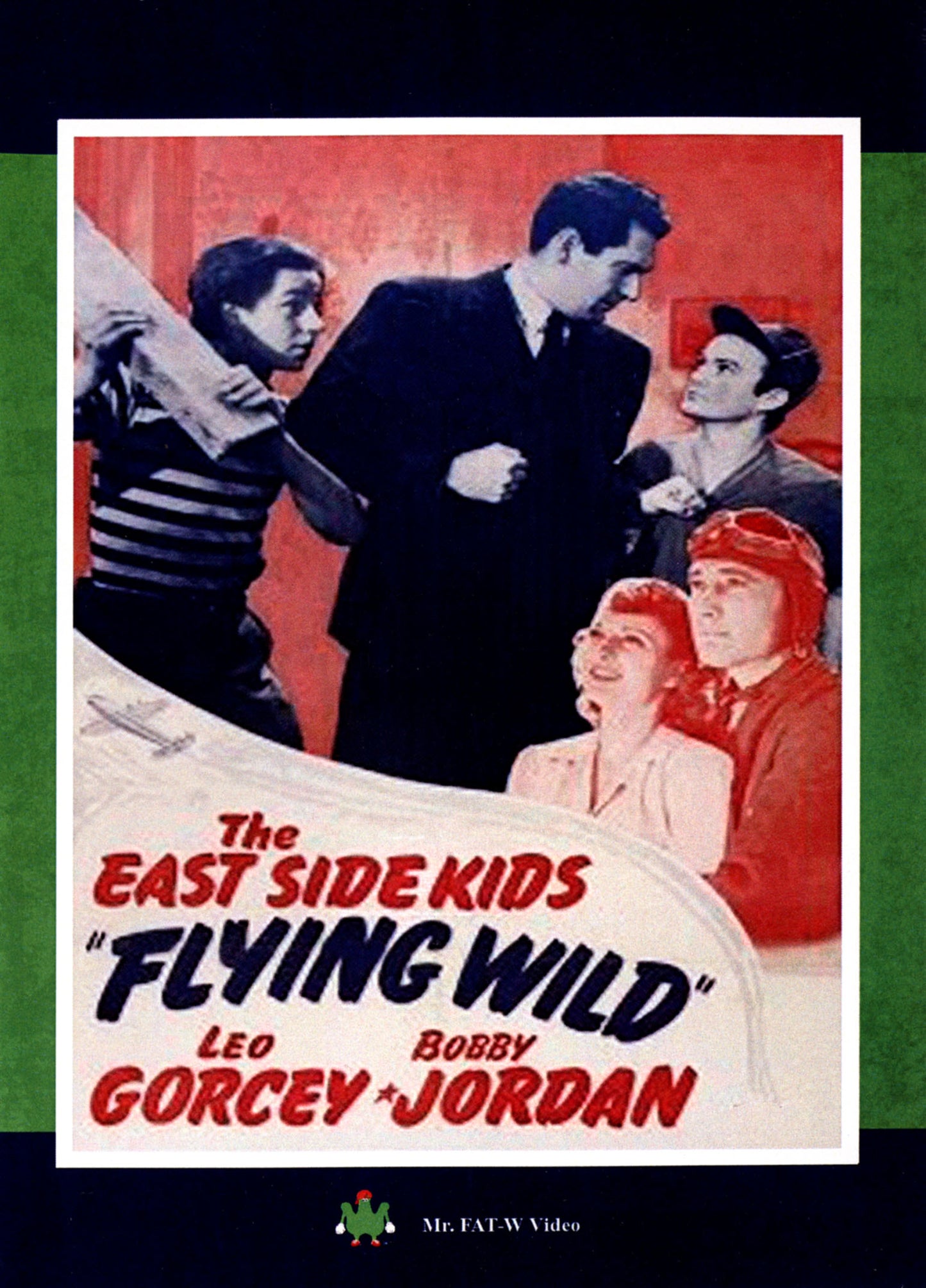 Flying Wild cover art