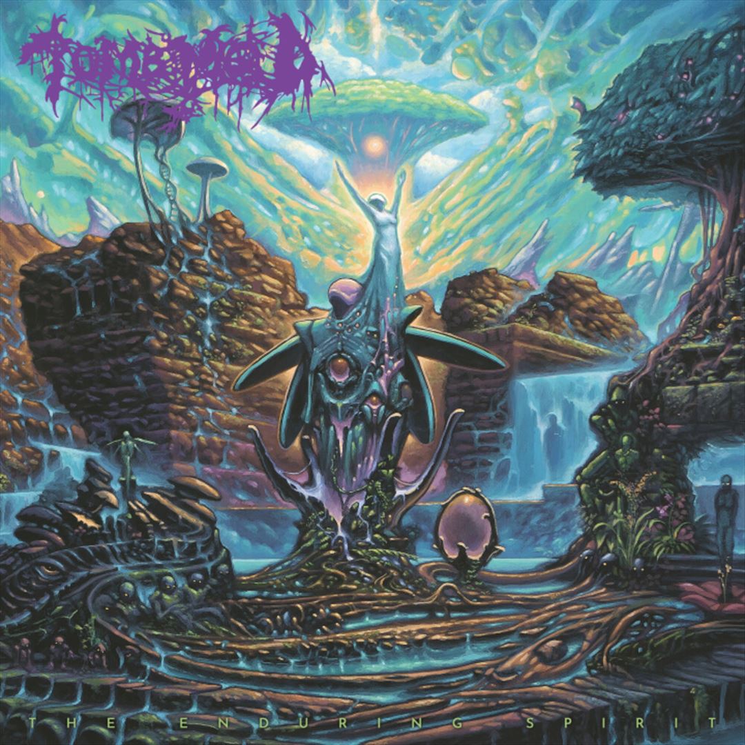 Enduring Spirit cover art