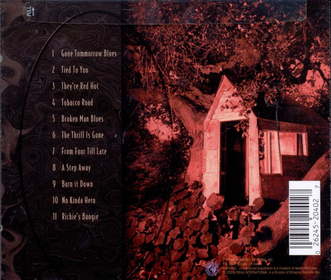 Bi-Polar Blues cover art
