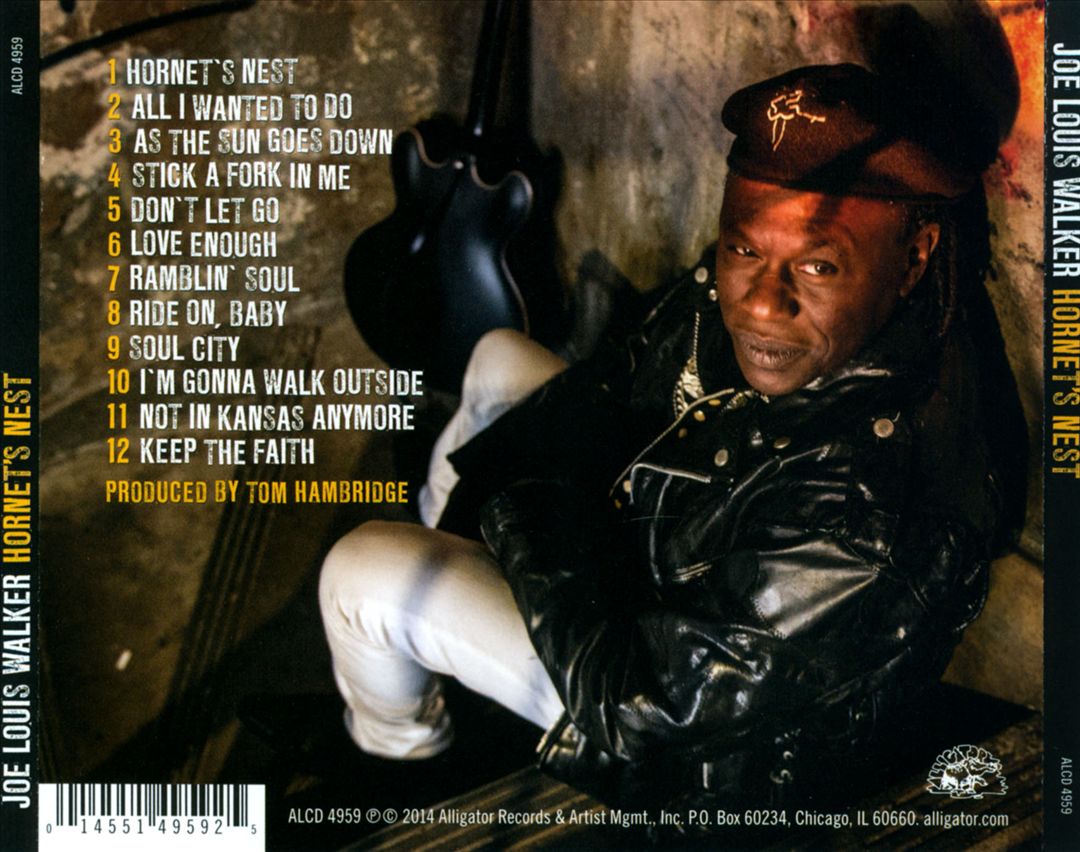 Hornet's Nest cover art