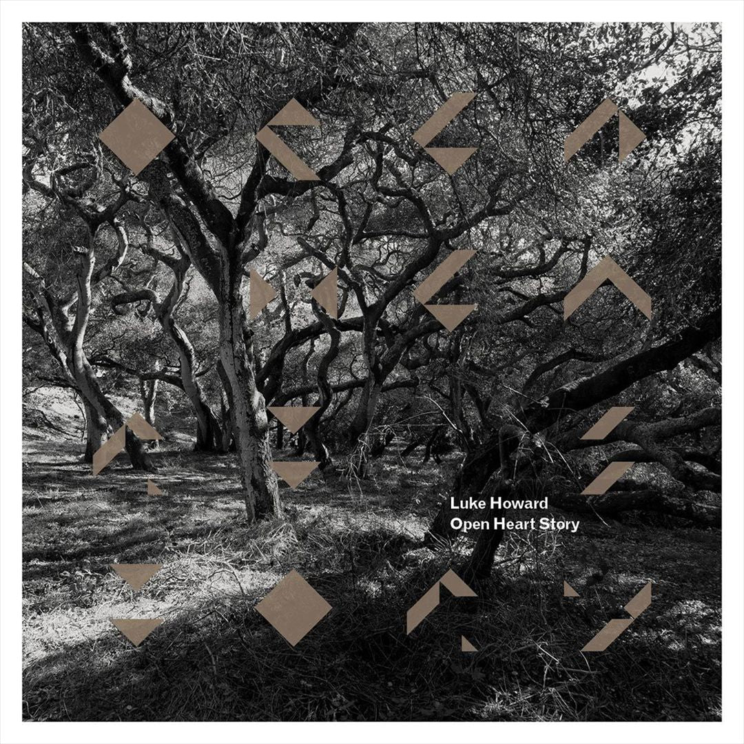 Open Heart Story cover art