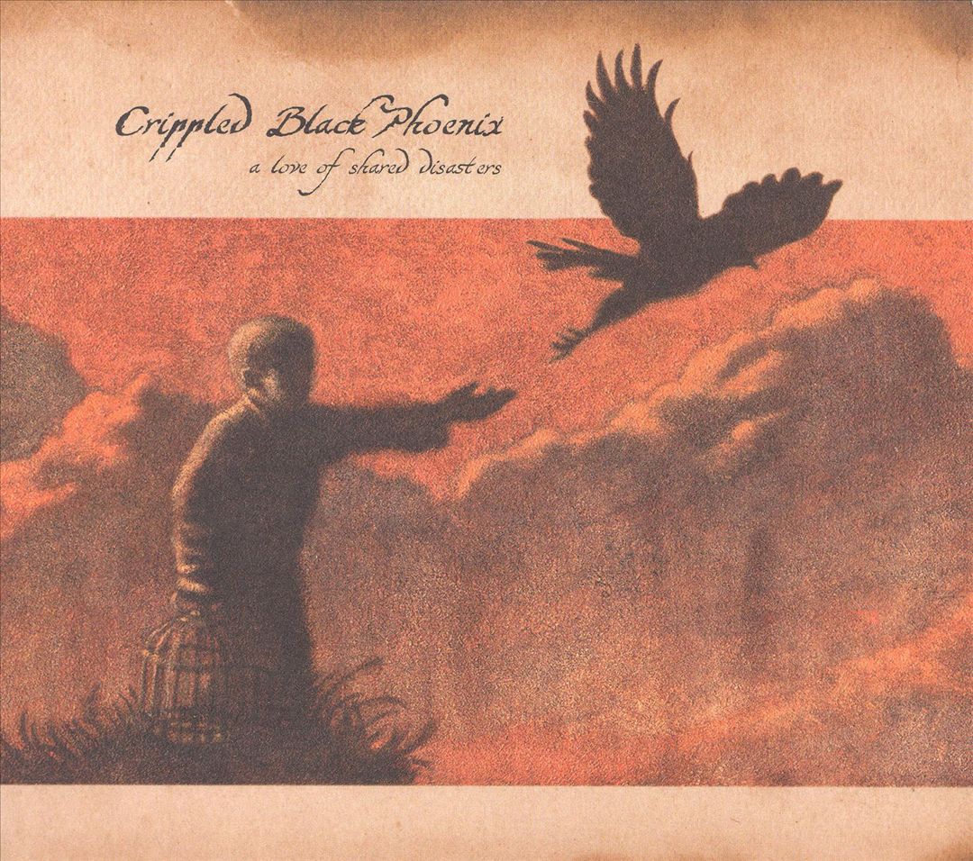Love of Shared Disasters cover art