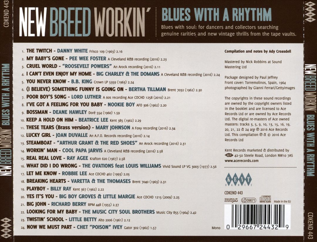 New Breed Workin': Blues with a Rhythm cover art