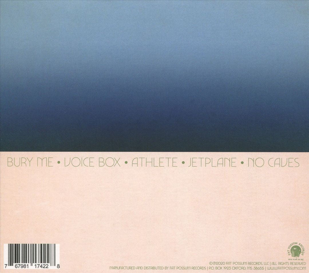 Voice Box cover art