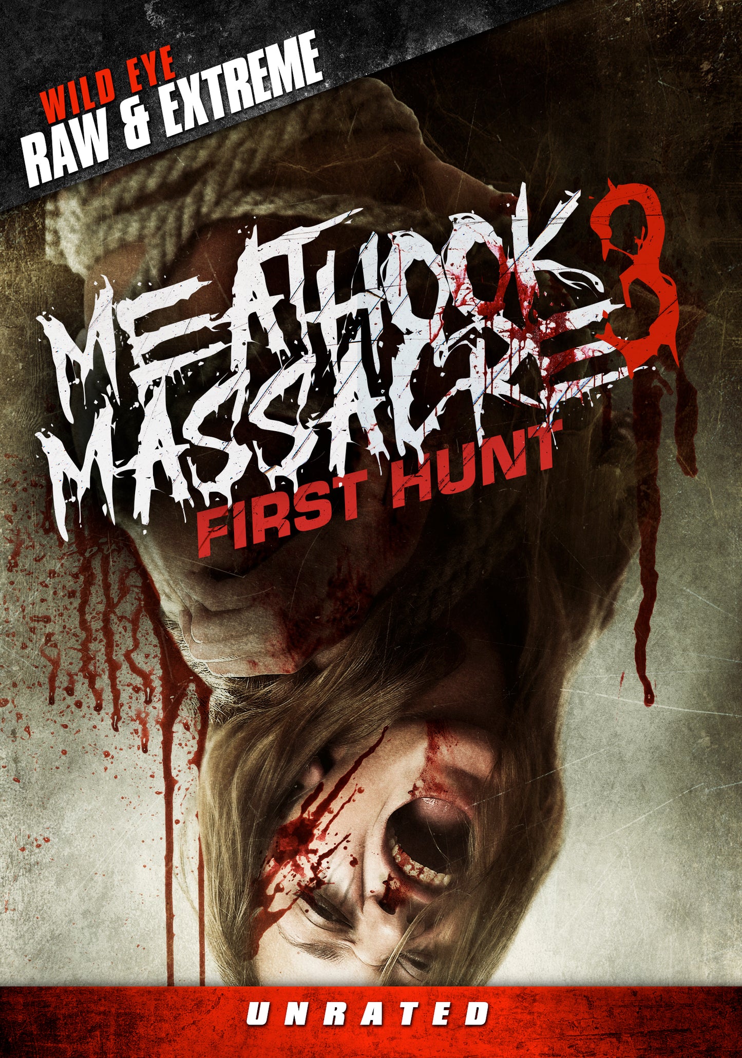 Meathook Massacre 3 cover art