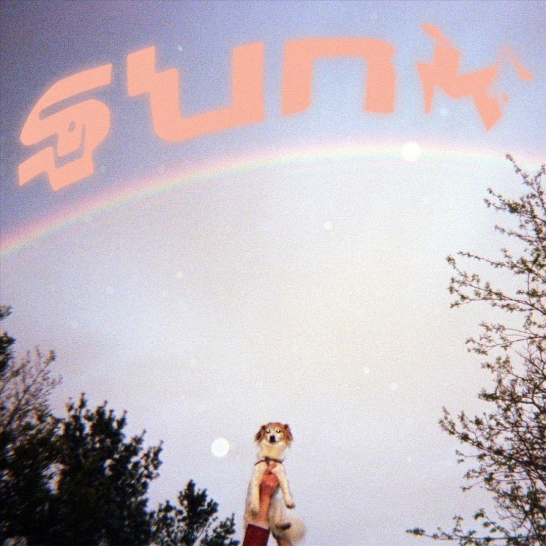 Sunk cover art
